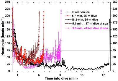 A Physio-Logging Journey: Heart Rates of the Emperor Penguin and Blue Whale